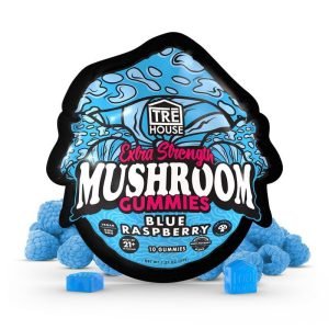 blue raspberry extra strength mushroom gummies