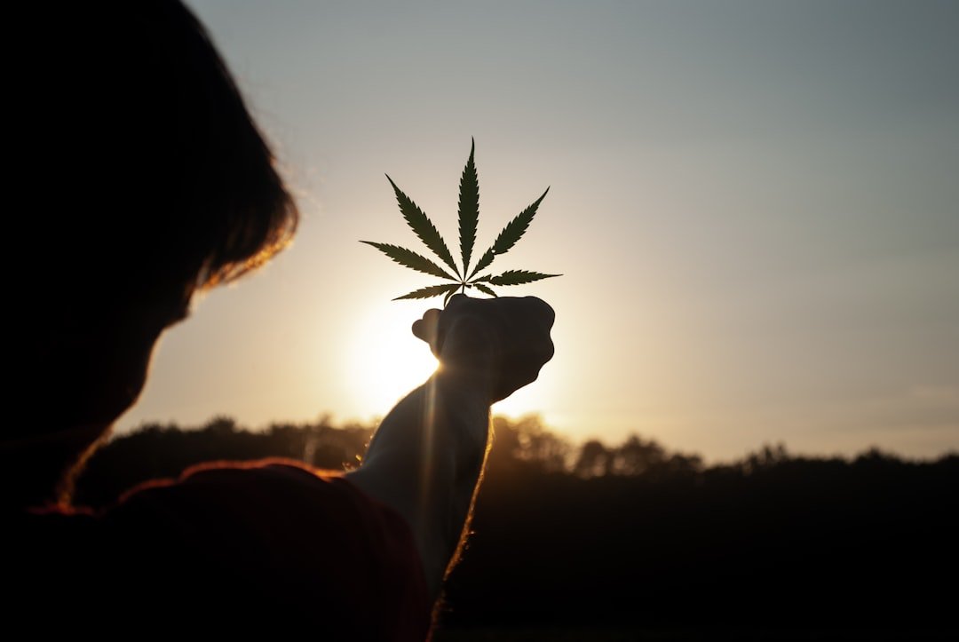 Weed Express